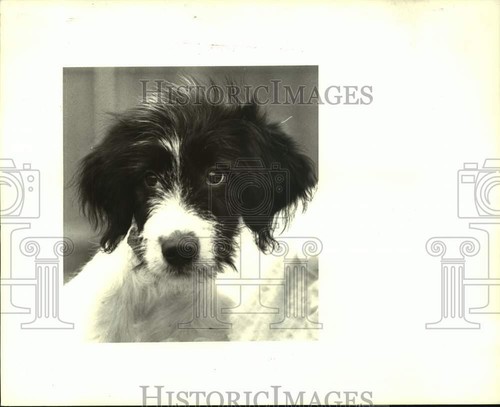 1986 press photo - press, jefferson